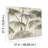 Madisyn Abstract Roll-483183693