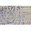 Brookhaven One-of-a-Kind 7'10" X 9'10" Area Rug