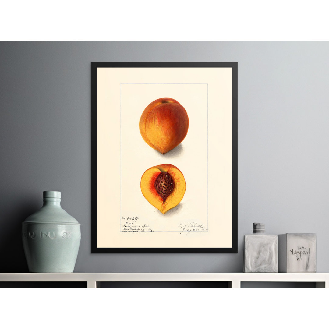 No Frame Print