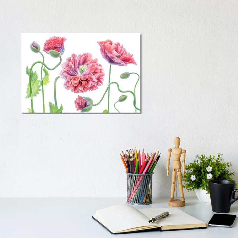 Fancy by Mandy Disher - Wrapped Canvas Painting, 20.32 cm H x 30.48 cm W