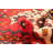Anadol Red Rug 4'4" x 6'3"