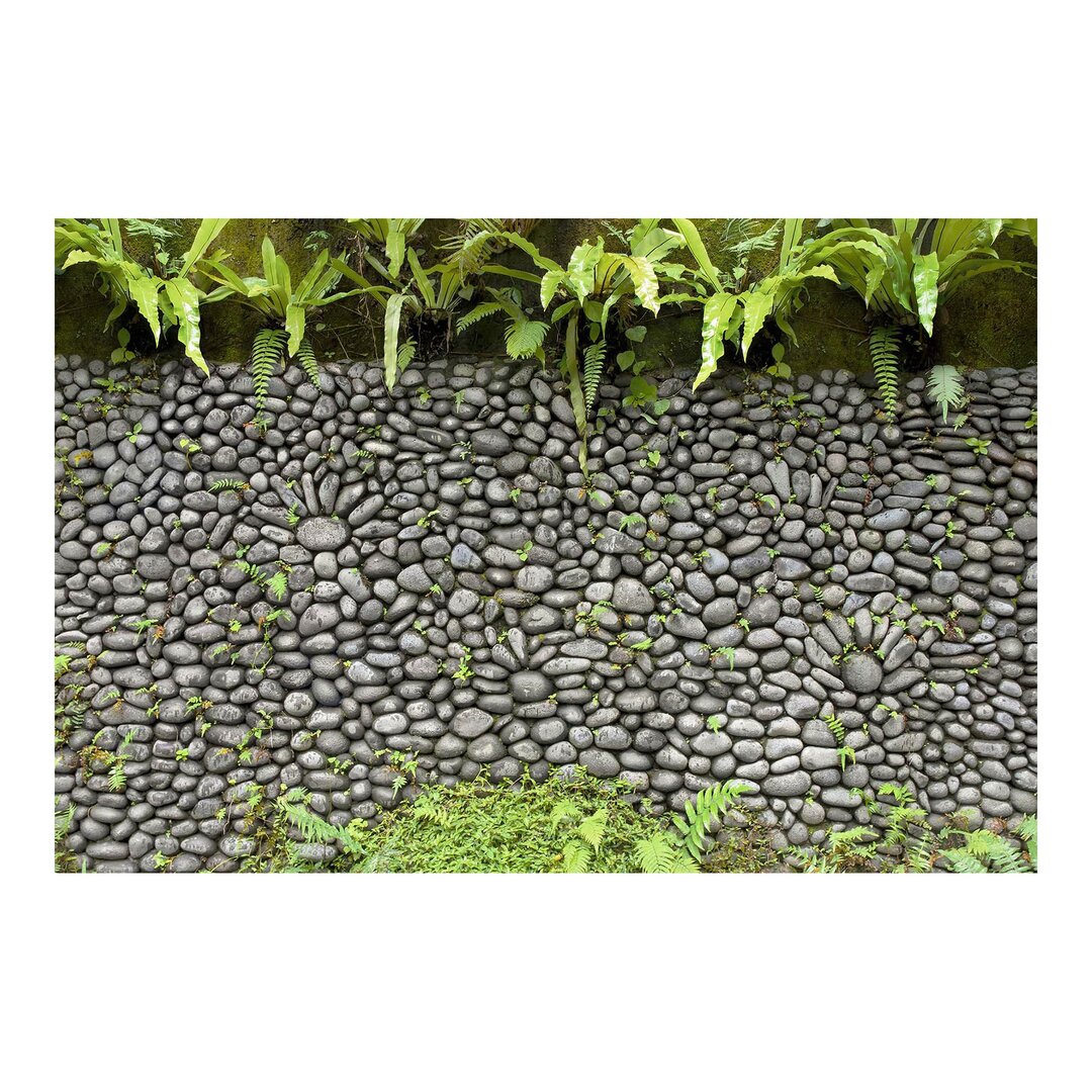 Strukturierte Fototapete Stone Wall with Plants 2,9 m x 432 cm