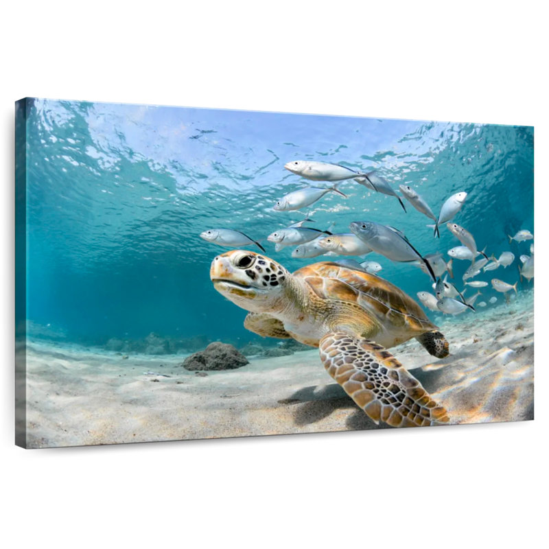 Fish School And Turtle, 24" H x 36" W