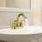 2-handle Bathroom Faucet with Drain Assembly-70462301
