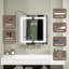 W H Medicine Cabinet Mirror 5