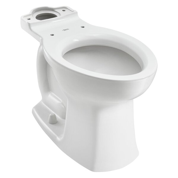 https://assets.wfcdn.com/im/72292499/resize-h600-w600%5Ecompr-r85/4402/44021771/Edgemere+Dual+Flush+Elongated+Toilet+Bowl.jpg