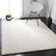 Brittney Shag Performance Solid Color Rug