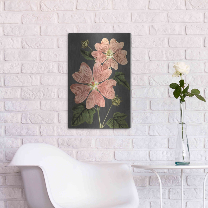 "Anémone rose" par lettré et doublé