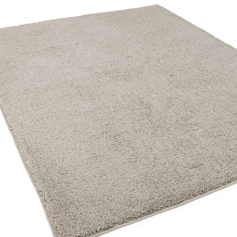 Ronalee Recycled P.E.T Machine Tufted Shag Area Rug, Rectangle 160 x 230 cm, Grey