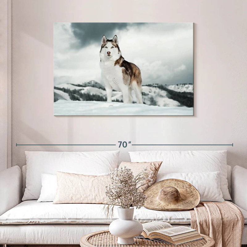 Majestic sibérien Husky, H 30 po x l 45 po