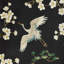 Kravet Design - W4207-816-45378537
