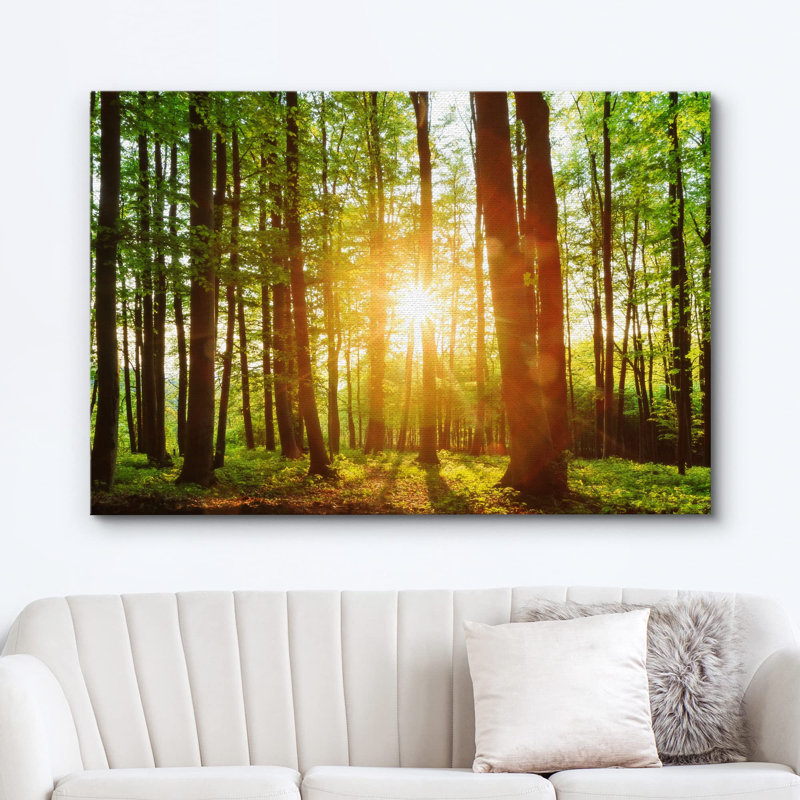 Paysage naturel au lever du soleil sur la forêt verte, Toile tendue, H 12 po x l 18 po x P 1,5 po