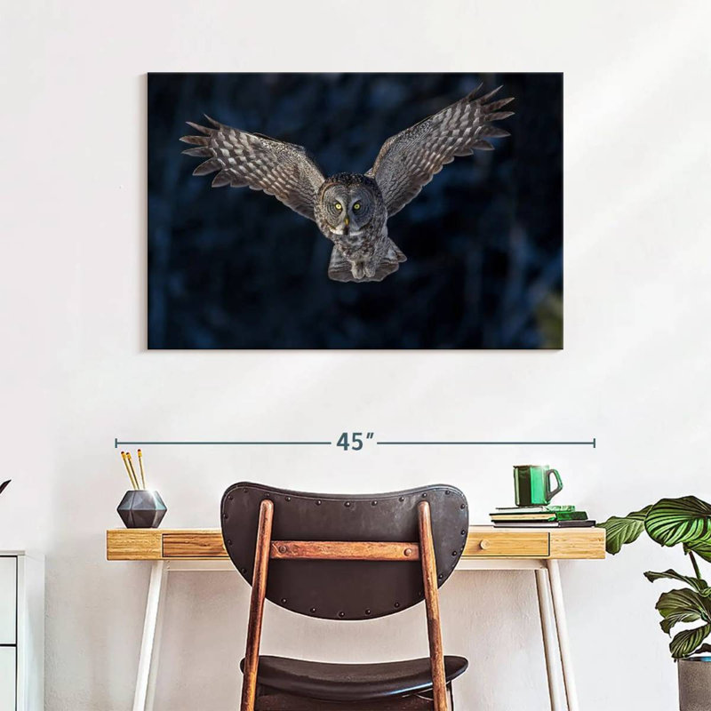 Flying Gray Owl, 26" H x 39" W