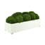 Nature's Nostalgia Moss Plant in Fiberstone Planter-1824800359-1824800357
