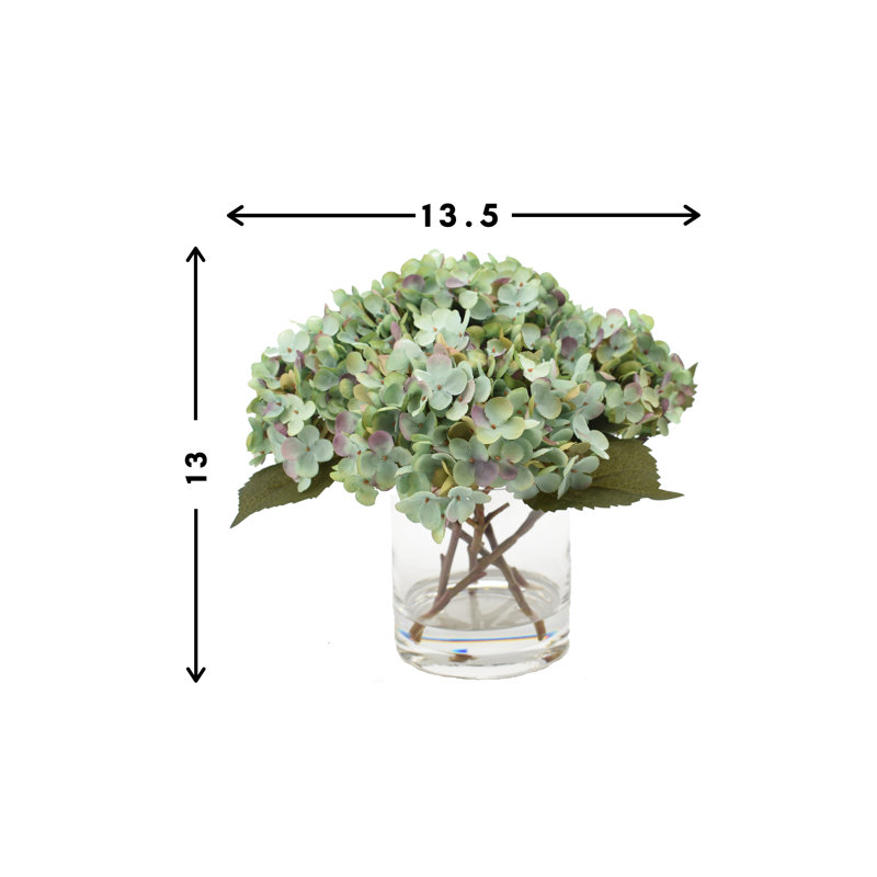 Hortensia, Bleu