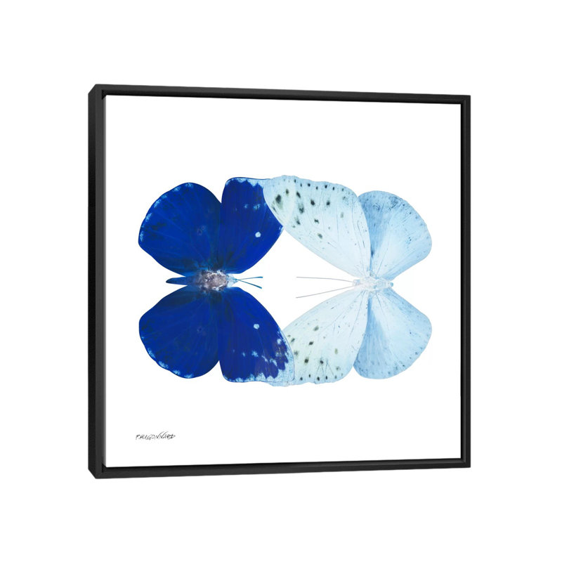 « miss papillon x-ray vii », impression sur toile, H 18 po x l 18 po x P 1,5 po, Toile encadrée noire