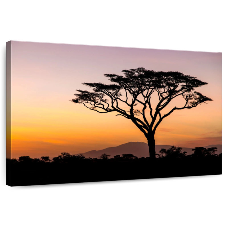 Harnek Serengeti Daybreak
