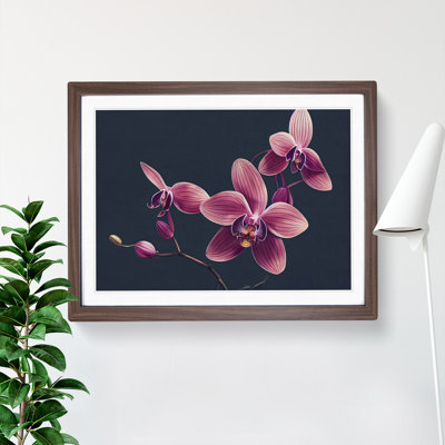 Revolutionary Orchid Flowers - Single Picture Frame Print