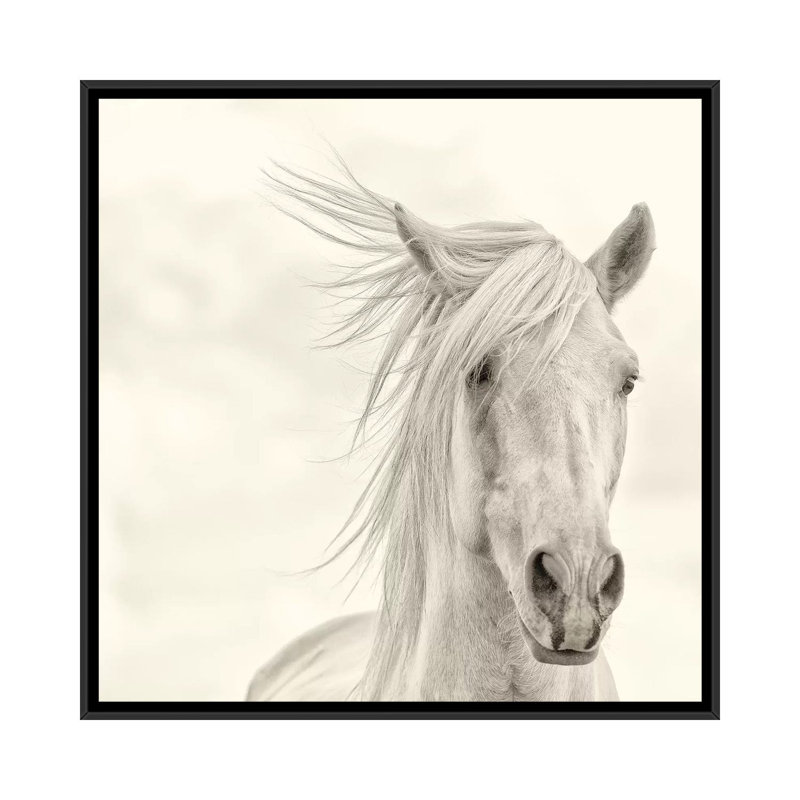 « wind souffled bascule amish i », impression sur toile, H 18 po x l 18 po x P 1,5 po, Toile avec cadre noir, Pas de tapis