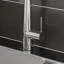 Belfry Kitchen Jaliyah Kitchen Faucet
