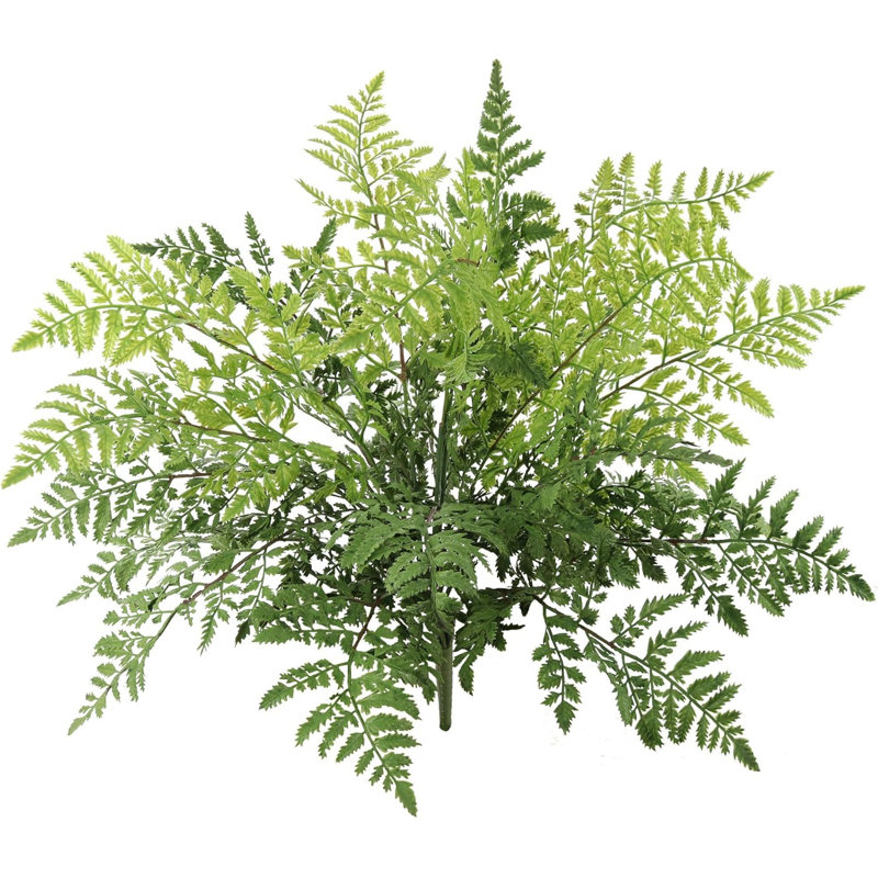 Grande plante à fougères de 28 po Melendez
