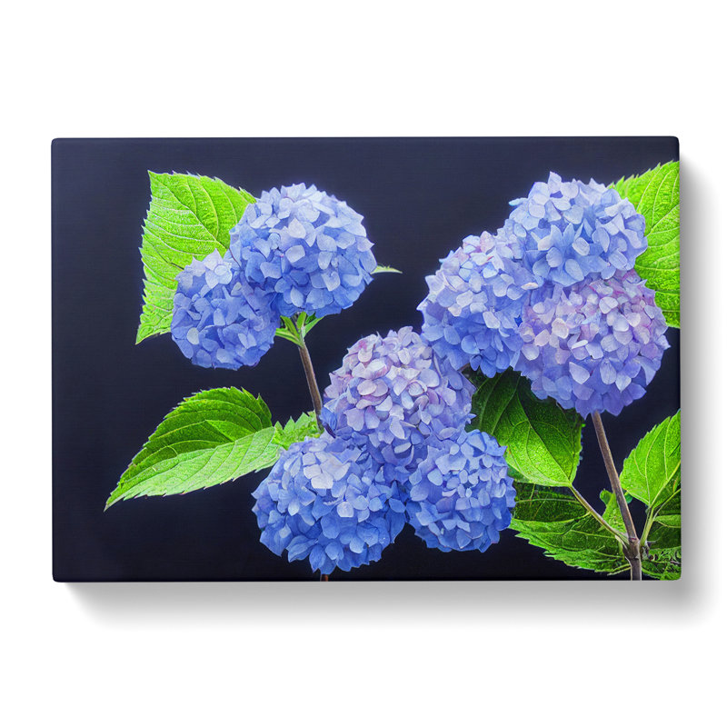 Awe Inspiring Hydrangea Flowers - Wrapped Canvas, 35cm H x 50cm W x 3cm D