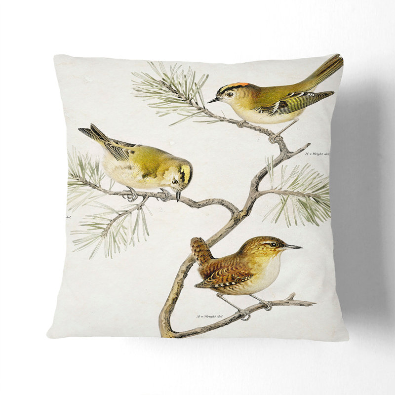 Eurasian Wren and Goldcrest Birds by Von Wright Cushion with Filling, 55cm H x 55cm W x 20cm D, White