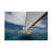 Bolog Marc Pelissier Close Following Canvas Art-109222845