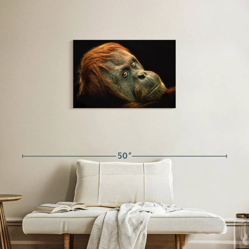 Brampt Dramatic Orangutan