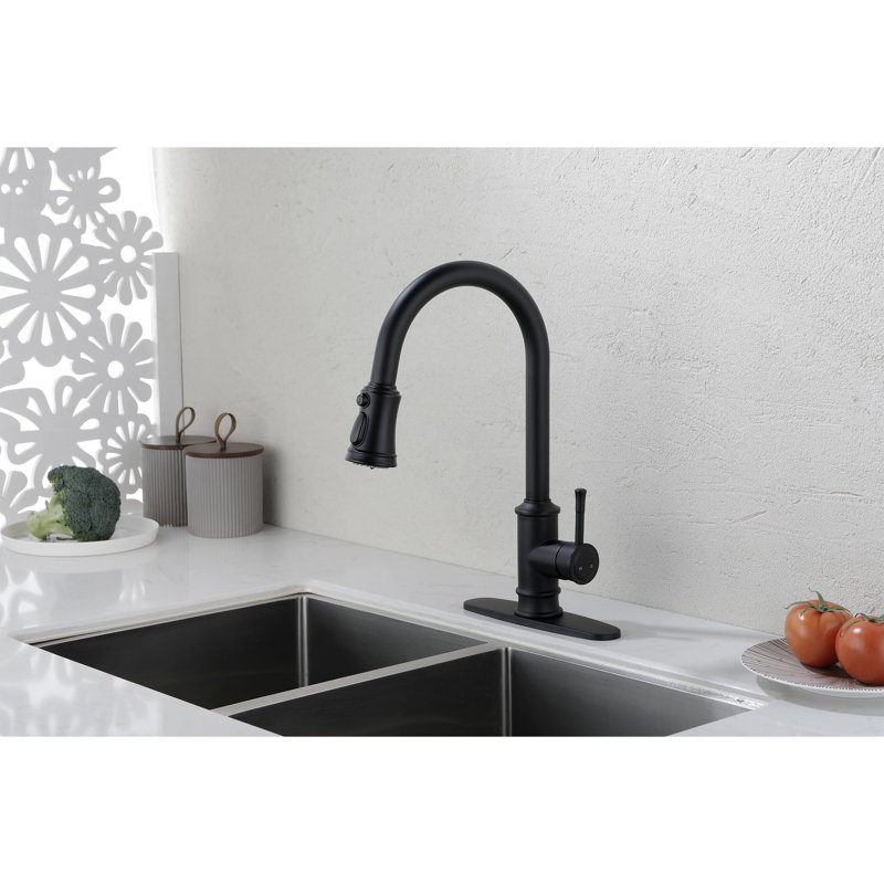 Kitchen Faucet With Pull Out Spraye