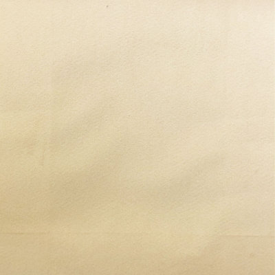 Solid Velvet | Velluto Fabric
