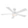 Wynd 5 - Blade Outdoor /Indoor Smart Ceiling Fan with Remote Control and LED Light Kit Included, Works With Alexa and iOS or Android App