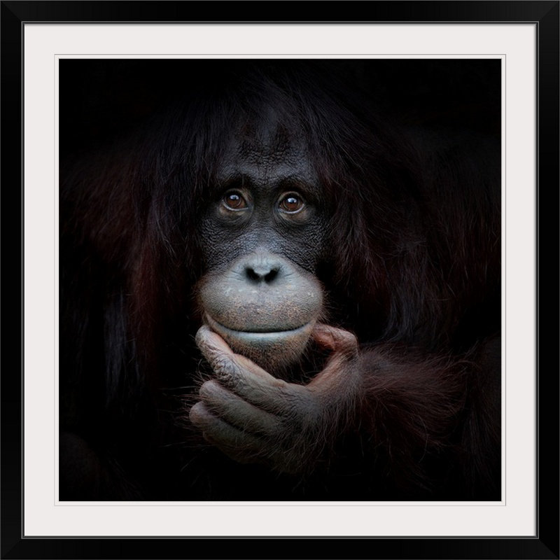 «Straub the Mirror Image» par Antje Wenner-Braun - reproduction de photo, H 28 x l 28 po x P 1 po, Cadre noir