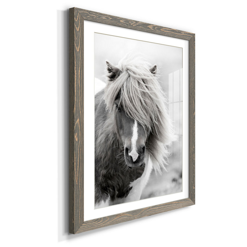" Soft Peonies II ", Gray Framed Paper, 31.5" H x 23.5" W x 1.5" D, White