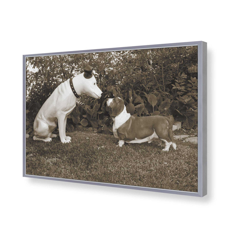 «Want To Play» par Jim Dratfield, reproduction d'art, H 24 po x l 36 po, Argent argent