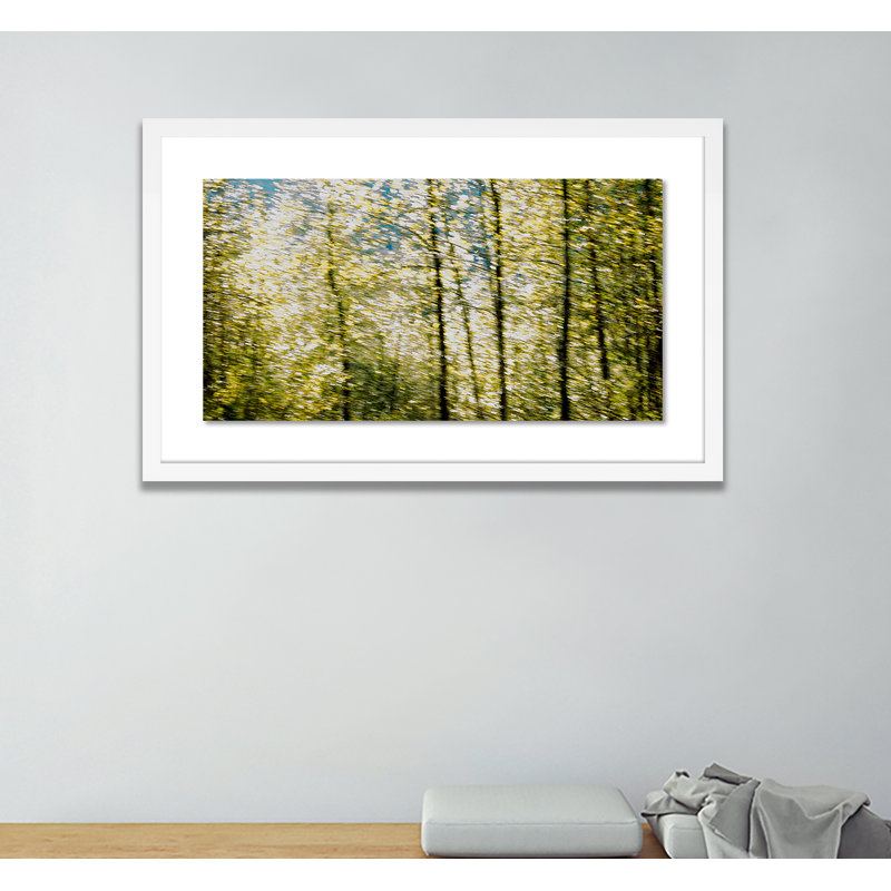 Glittering Trees Print by Geoffrey Baris, White, 25" H x 40" W x 2.5" D