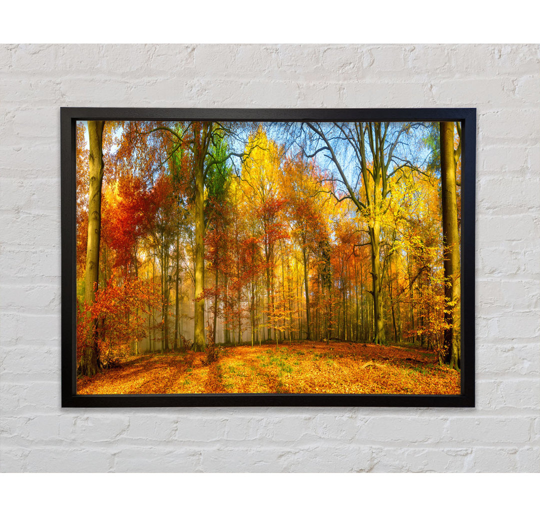 Autumn Forest Soft - Einzelner Bilderrahmen Kunstdrucke auf Leinwand