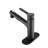 Modern Matte Black Bathroom Sink Faucet With Pull-Out And Pop-Up Drain, Fashionable Look Contemporary Basin Black, Fashion Style-121615875