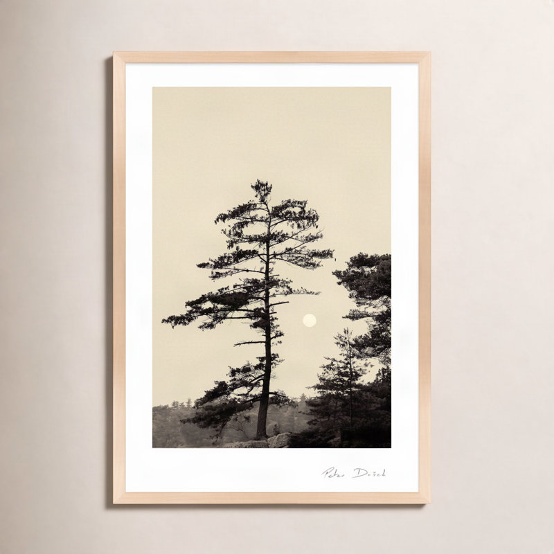 Photographie de jardin, H 38 po x l 26,5 po x P 1,25 po, Brun