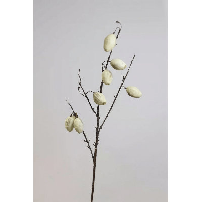 Wild Olive Branch Stem â€“ 33.5"