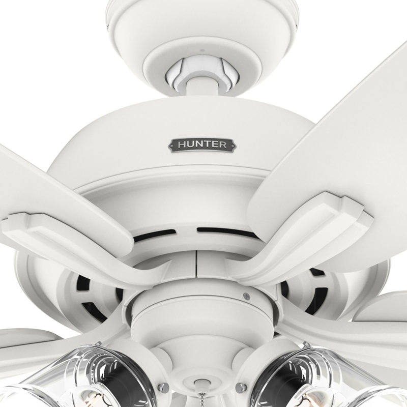 60" Dondra 5 - Blade Fan With Lights and Pull Chains, Matte White