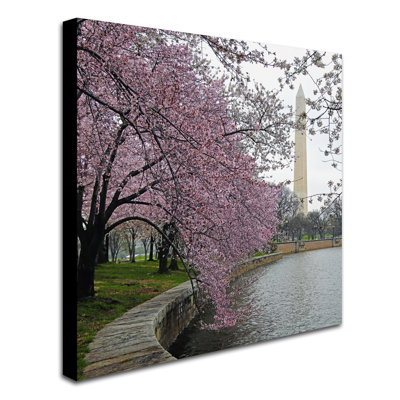 Washington fleurs, reproduction de photo sur toile tendue