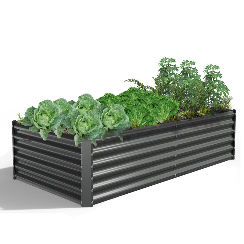 Jardinières rectangulaires surélevées en métal gris
