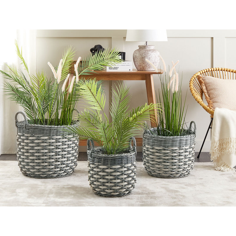 Nittany Plant Pot