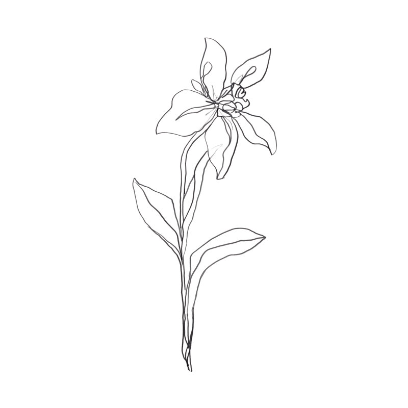 Simple Daffodil I by June Erica Vess - Print on Canvas, 122cm H x 81cm W, Wrapped Canvas