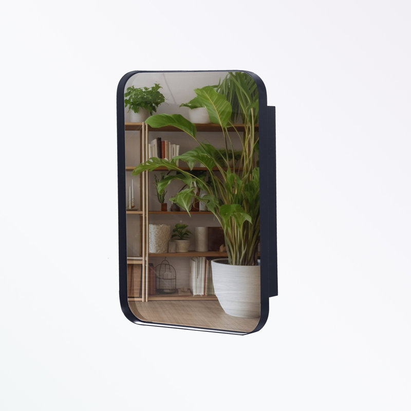 Metal Framed Wall Mirror with storage and Adjustable Shelves, Matte Black