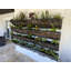 Jardin vertical