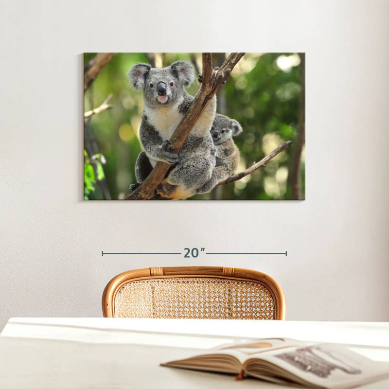 Australian Koala Bears, 16" H x 24" W