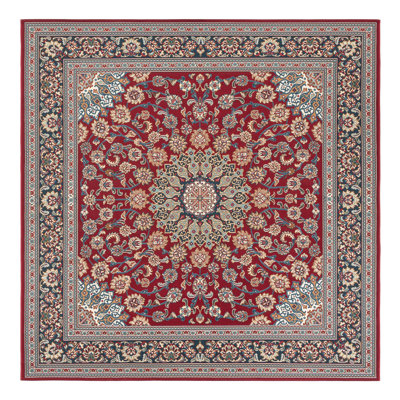 Indoor/Outdoor Traditional Area Rug