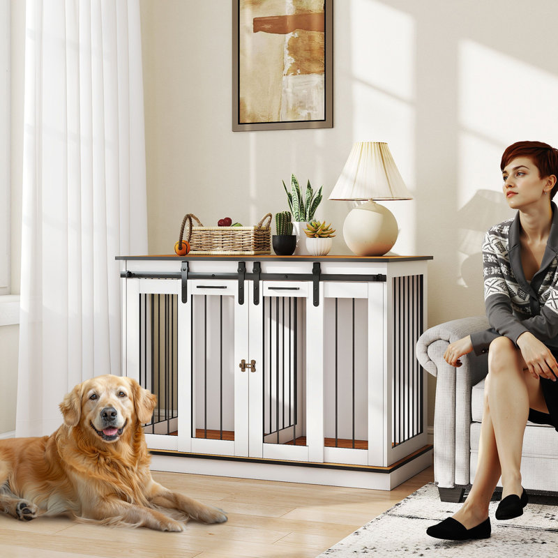 Furniture Style Crate with 2 Doors